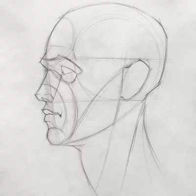 Kopf Konstruktion im Profil