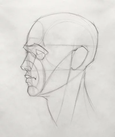 Kopf Konstruktion im Profil