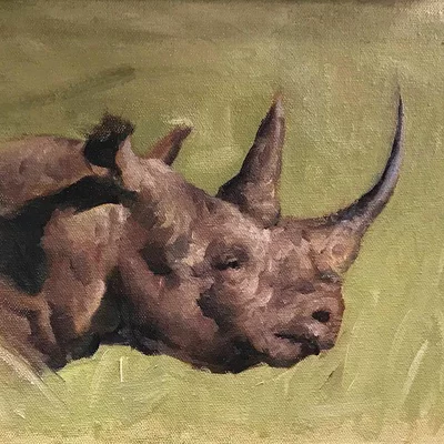 Portrait of a rhino in oil