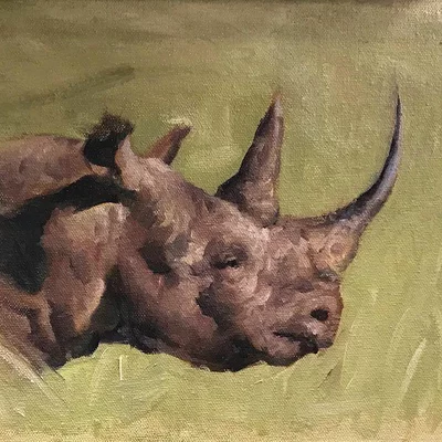 Nashorn Portrait in Öl gemalt