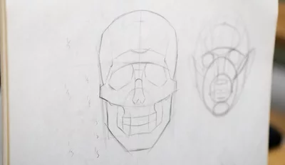 Drawing of a stylised skull