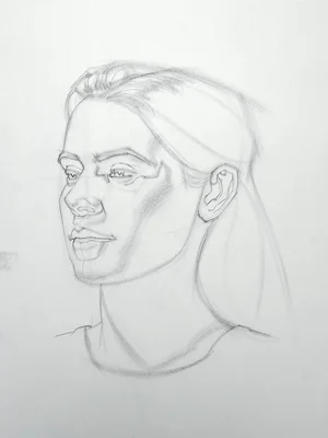 Brian knox head drawing 286