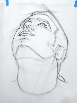 Brian knox head drawing 278