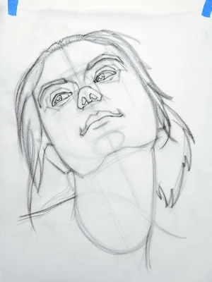 Brian knox head drawing 282