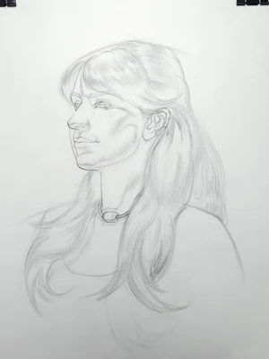 Brian knox head drawing 291