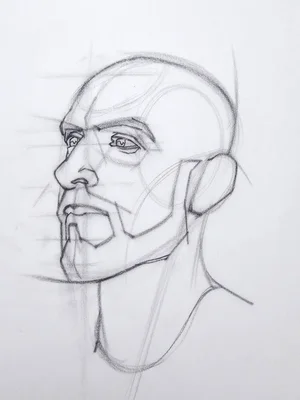 Brian knox head drawing 316