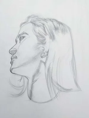 Brian knox head drawing 433