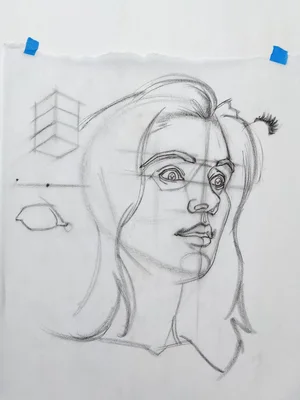 Brian knox head drawing 444