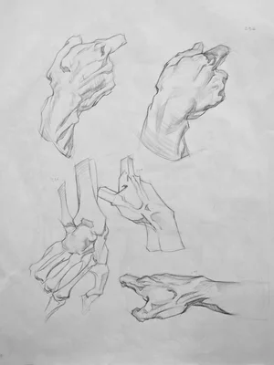 520293703 18472047634076016 8554195708766365754 n jpg